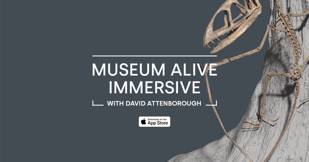 Museum Alive with David Attenborough for Apple Vision Pro